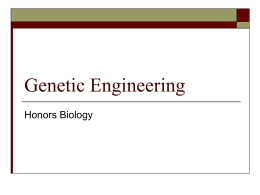 Genetic Engineering - fhs-bio