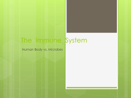 The Immune System - Mr. Harwood's Classroom