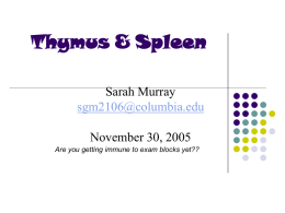 Thymus and Spleen - Columbia University Medical Center