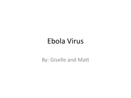 Ebola Virus - FM Faculty Web Pages
