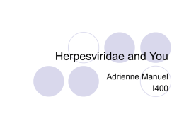 Herpesviridae and You