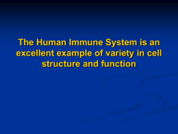 Cell Structure and Function