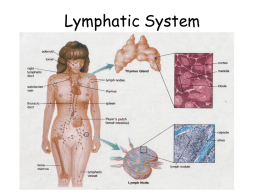 Lymphatic System - Dr. Annette M. Parrott