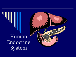 Human Endocrine System - Frontier Central School District