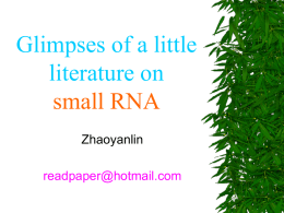 Glimpses of a few literatures on snRNA