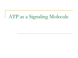 ATP as a Signaling Molecule - ASAB-NUST