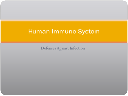 Human Immune System - West Linn High School