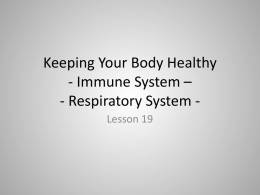 Keeping Your Body Healthy - Immune System -