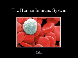 Immune System Powerpoint