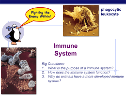 What is the purpose of a immune system?