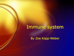 Immune system - Crestwood Local Schools