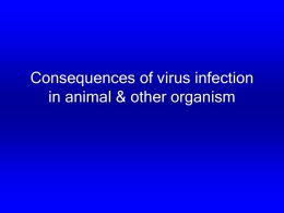 Consequences of virus infection in animal & other organism