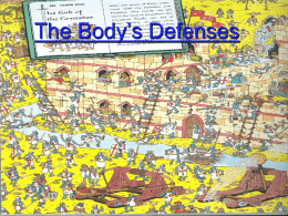 The Body`s Defenses