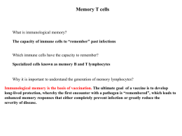 Two subsets of memory T cells