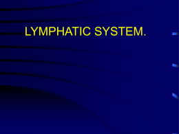 lymphatic system text
