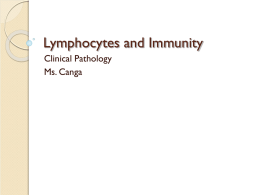 FIB KC Lymphocytes-Immunity