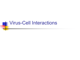 Virus-Cell Interactions