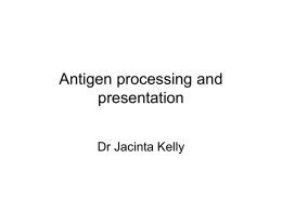 Antigen-processing-and-presentation