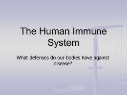 immune_system_lecture