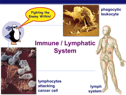 Immune system notes