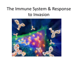 11.1 HL Immune System Part 1