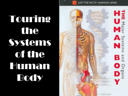 Touring the Systems of the Human Body