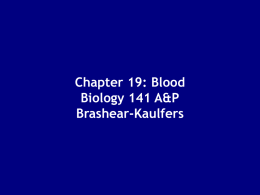 Chapter 19: Blood