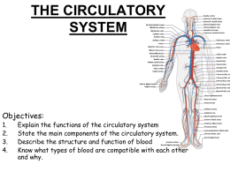 THE CIRCULATORY SYSTEM-blood