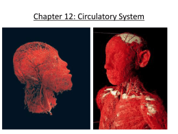 Lesson 5. circulatory system - Blyth-Biology11