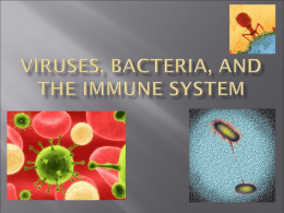 Viruses, Bacteria, and the Immune System