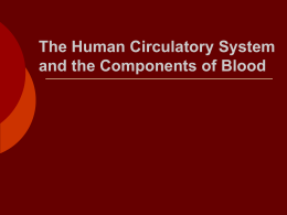 The Human Circulatory System and the Components of Blood
