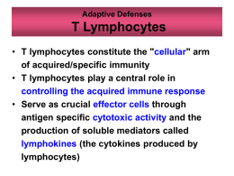 the cytokines produced by lymphocytes