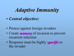 The primary -> secondary immune response