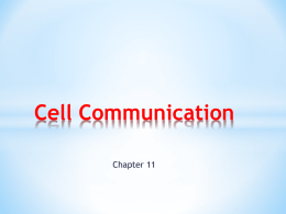Cell Communication PPT