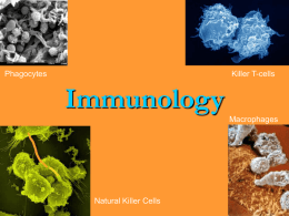 Immunology PPT