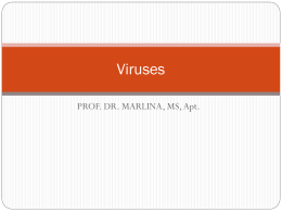 Viruses - Farmasi Unand