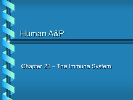 Chapter 21 - Immune System