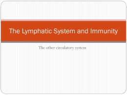Chapter 14 – The Lymphatic System and Immunity