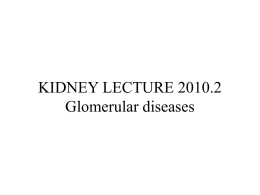 Kidney-lect-2010-2-Glomer