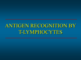 Antigen Recognition by T Lymphocytes