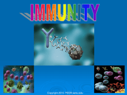 Immunity (Ag).