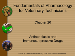 Chapter 20 - Antineoplatic Drugs - Delmar