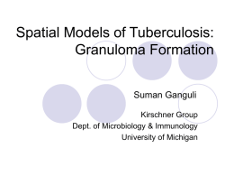 Discrete Spatial Model of Granuloma Development