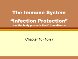 The Immune System Chapter 10 (10-2)
