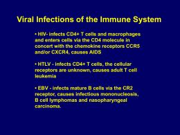 CD4 + T Cell