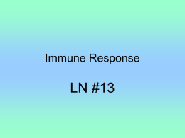 LN #13 Immune