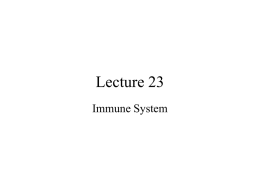 Lecture #23 - Suraj @ LUMS