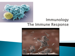 Immunology Immune Response