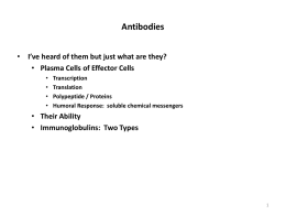 Antibodies - Cloudfront.net