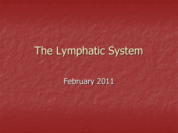 PP - The Lymphatic System